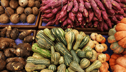 Nutritional Empowerment